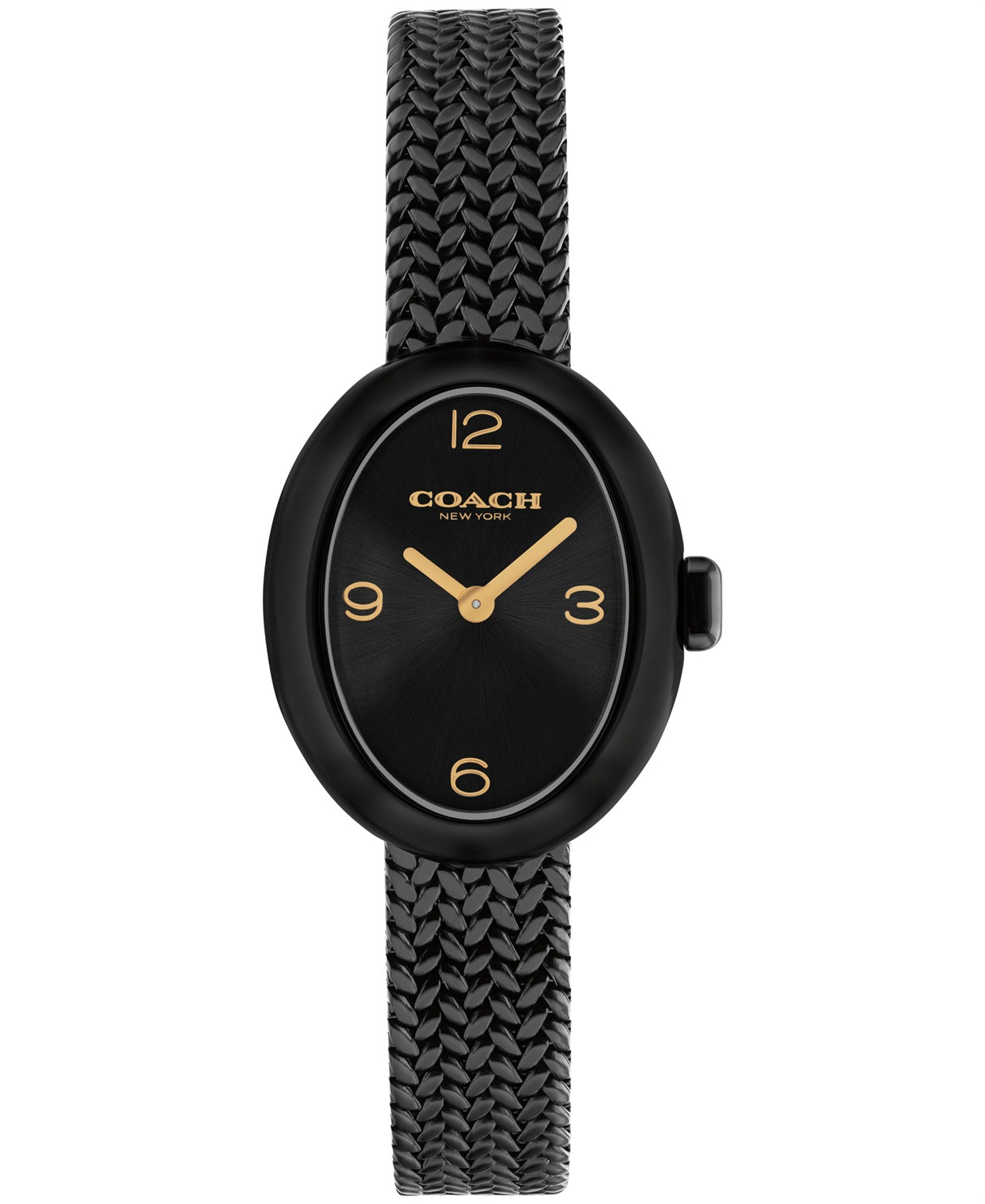 Sammy Women Quartz Black Dial Analog Mesh Watch